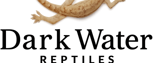 Feeder House Geckos