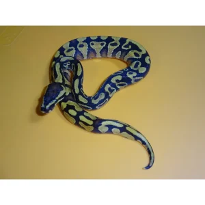 Buy Enchi Yellow Belly Ball Python Online